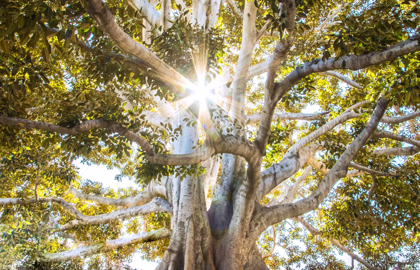 Антистресс практики для человека в перегрузе